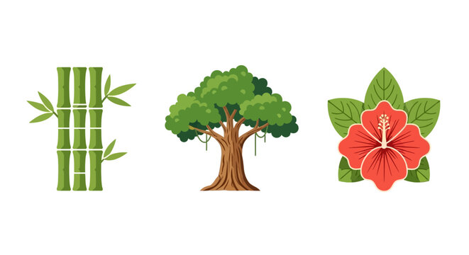 Bamboo tree and hibiscus flower.