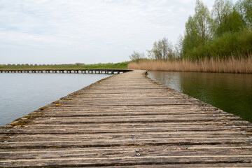 Fototapeta premium Curving Wooden Boardwalk Over Marsh Lakeside Pathway With Reeds And Trees On Overcast Day