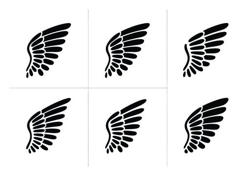 Six Black Feathered Wings Arranged in a Grid