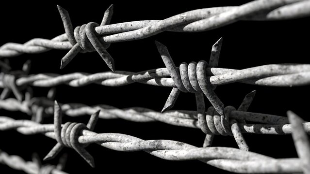 Barbed wire fence against black background