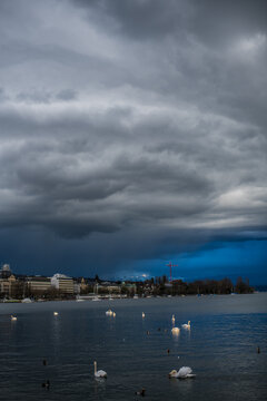 Zurich, Switzerland - 02 April 2023: View of the serene lake, where swans glide gracefully under a dramatic, brooding sky, the city's buildings a muted contrast to the water's shimmering surface.