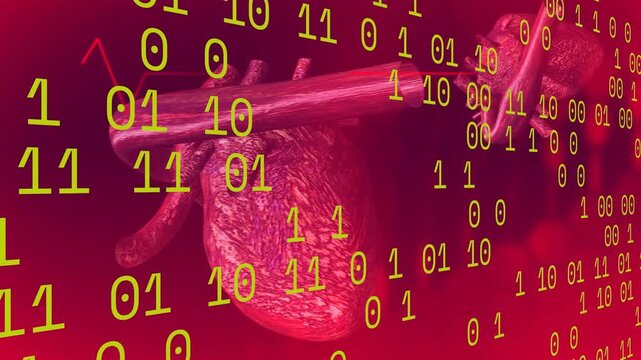 Animation of data processing over digital heart and cardiograf