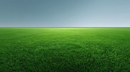 Fototapeta premium Lush Green Field Under Clear Blue Sky with Horizon Line, Perfect for Nature and Landscape Photography, Free Space for Creative Design Projects