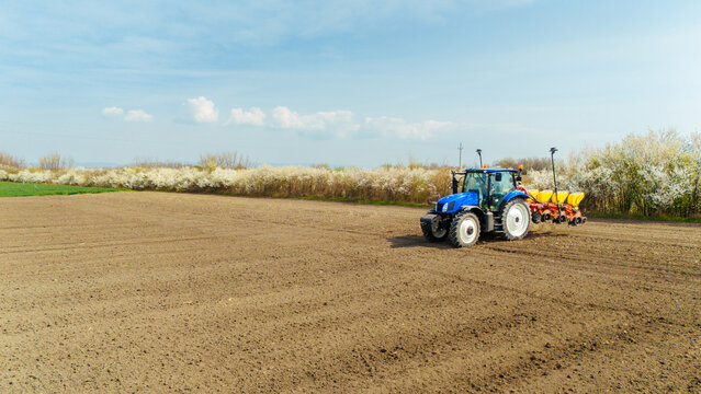 Aerial view of a blue tractor tilling the soil on a vast field, contrasted by a row of trees with white blossoms, Sremska Mitrovica, Vojvodina, Serbia.