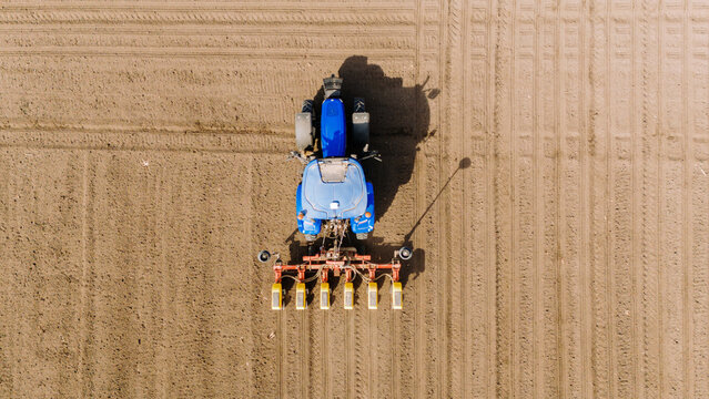 Aerial view of a tractor meticulously planting seeds in neat rows across a vast, ploughed field, contrasting the machine's blue against the earth's brown, Sremska Mitrovica, Vojvodina, Serbia.