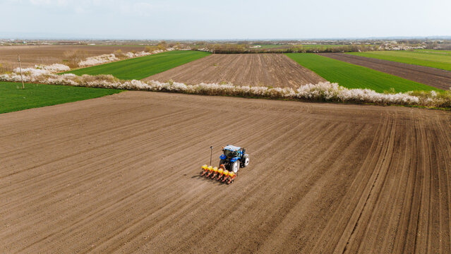 Aerial view of a blue tractor sowing seeds in the vast, ploughed fields, with a backdrop of green fields and white blossoming trees, Sremska Mitrovica, Vojvodina, Serbia.
