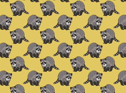 Fun raccoon pattern in vector with illustrations, great for posters, marketing, textiles or fabric 