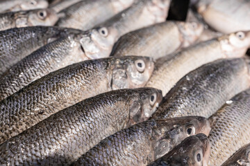 Obraz premium Fresh raw fish on market counter seafood background close up