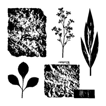 Black and white botanical cutouts including leafy stems, grass like fronds, and rugged stone samples, isolated against transparent background.