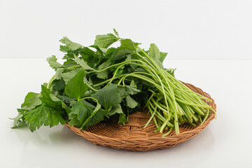 Fototapeta premium pimpinella brachycarpa isolated on white background