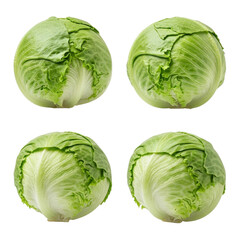Obraz premium Four Iceberg lettuces isolated on transparent background