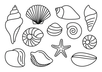 Collection of Line Seashells and Starfish © Biplob