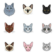 Obraz premium Set of Nine Diverse Cat Breed Face Illustrations: Siamese, Sphynx, Maine Coon, and Tabby Portraits