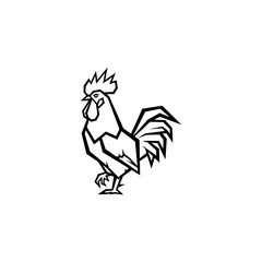 Black and white rooster standing proudly. © oxva