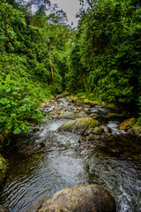 Obraz premium Rocky stream flowing through tropical rainforest near Kibale National Park