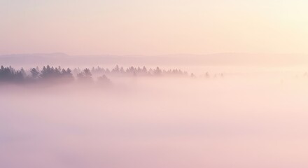 Fototapeta premium Ethereal fog creates soft boundaries between shifting pastel colors, forming a tranquil, dreamlike abstract background texture, fog, blurred, calm
