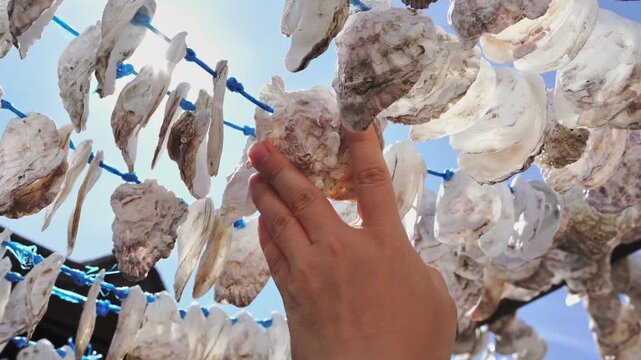 close up hand touching seashells hanging and moving in wind against blue sky outdoors. beach decoration, summer travel, coastal lifestyle, natural motion.