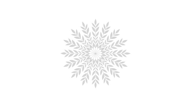 Abstract symmetrical floral snowflake pattern on white background, elegant decorative design element, minimalist mandala