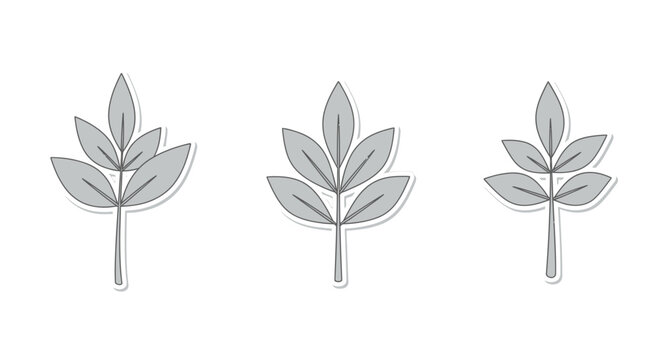 Set of three simple stylized grey leaf sprigs with subtle drop shadows on a white background