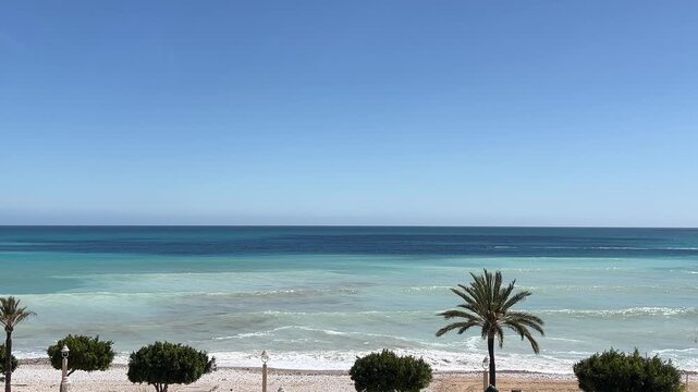 Playa de Altea con cuatro tonos de azul y una palmera
