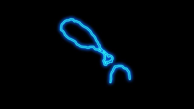Saint Kitts and Nevis Country Map Neon Lights, Abstract Saint Kitts and Nevis Neon Lights Map Opener Suitable for Politics, Elections, Travel, News and Sports Events and Presentations
