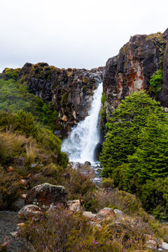 View of Taranaki Falls plunges with frothy vigor amidst the rugged cliffs and verdant foliage, a symphony of nature's raw beauty, Taranaki Falls, Manawatu-Whanganui Region, New Zealand.