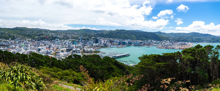 Wellington, New Zealand - 18 February 2026: View of the city sprawling towards the harbor, a tapestry of white buildings against the deep blue waters, framed by lush green hills and vibrant trees.