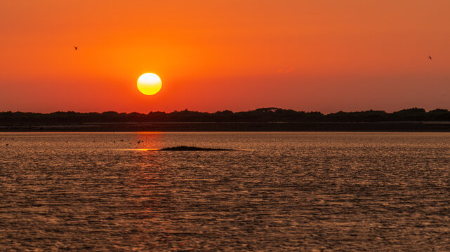 Golden sunset over Mannar lagoon, Sri Lanka. Glowing sun reflection on water and silhouetted birds in a tranquil coastal landscape