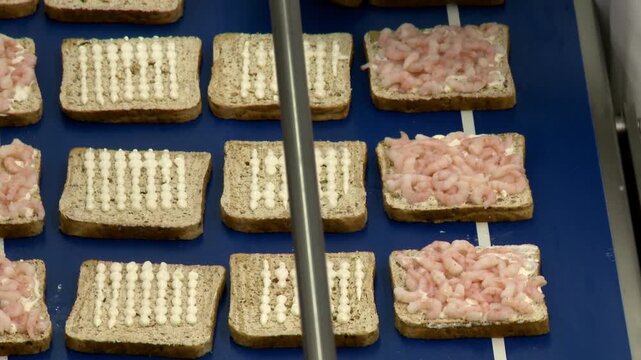 bread on conveyor belt in sandwich factory
