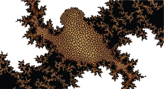 Fractal pattern displays a complex mathematical geometry with intricate textures.