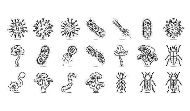 Detailed scientific microorganism, virus and bacteria line icon set in educational style isolated on white background