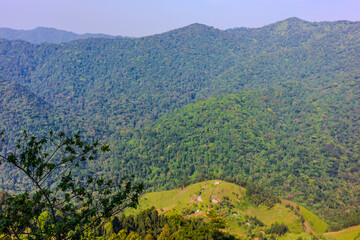 Fototapeta premium Green forested hills with small rural settlement