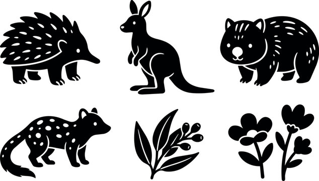 Australian animals with eucalyptus and flowers