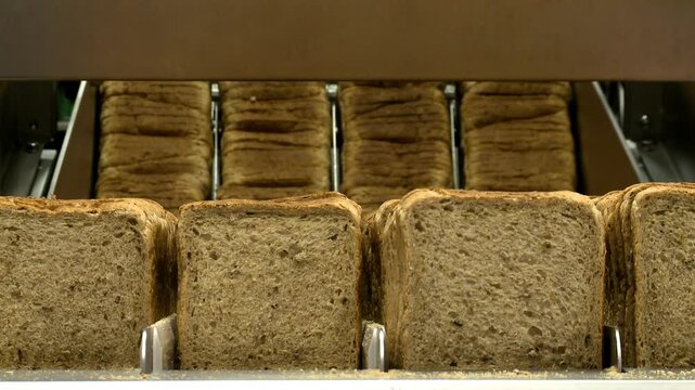 hand putting toast loafs in machine in factory