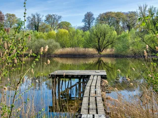 Frühling am Altrhein, Jockgrim, Rheinland-Pfalz, Deutschland © Jürgen Humbert