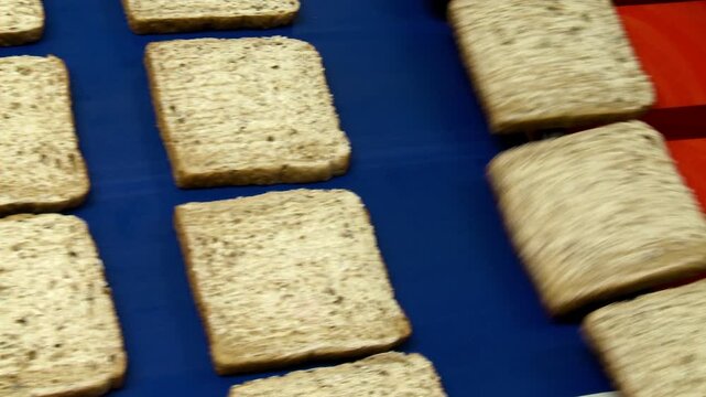 bread on conveyor belt in sandwich factory