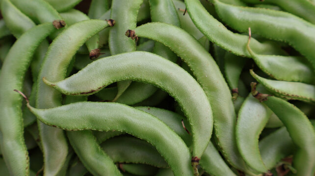 Full Frame Texture of Fresh Green Hyacinth Beans Background
