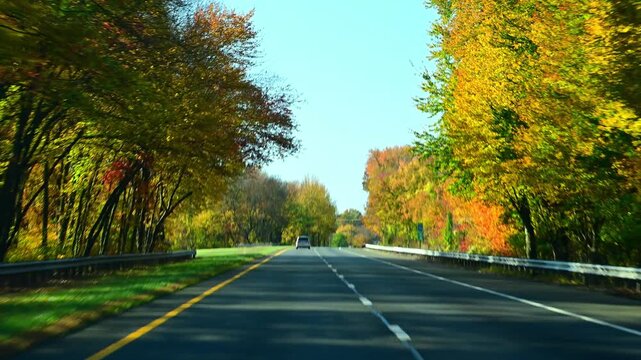 Traffic on an autobahn during autumn through a dense forest, trees with yellow foliage lining both sides of the road
