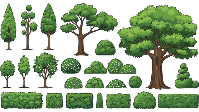 Comprehensive collection of various green trees bushes and trimmed hedges for landscaping parks and garden scenes.