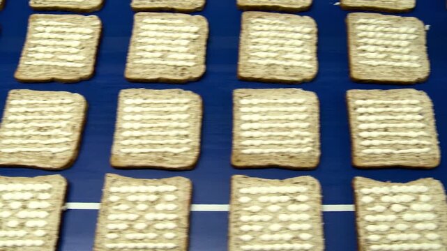 bread on conveyor belt in sandwich factory