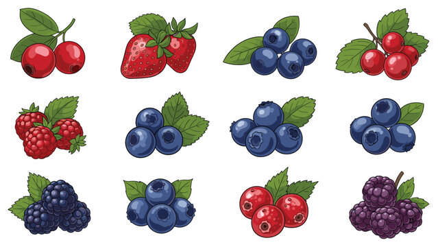Collection of various fresh forest and garden berries including strawberries, blueberries, raspberries, and blackberries for organic food designs.