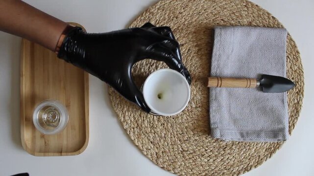 Homemade Herbal Hair Food Mixing Process