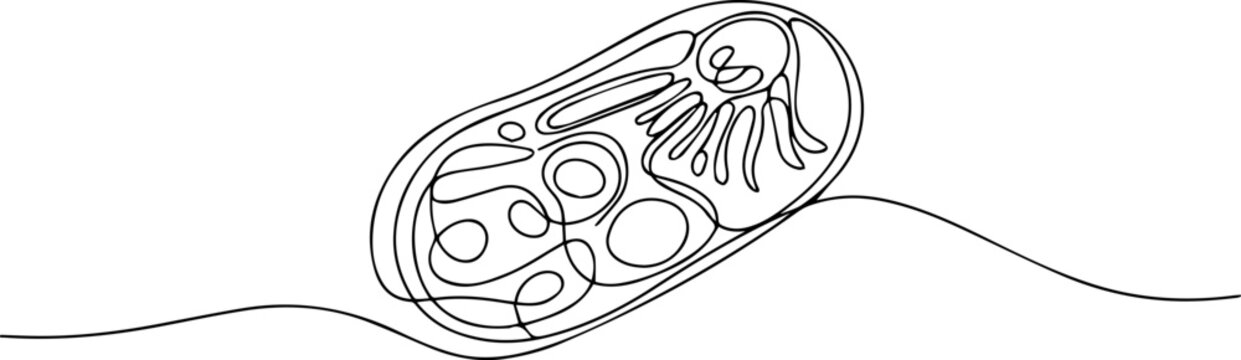 Bacteria Cell continuous one line drawing, Virus and bacteria continuous one line art drawing minimalist style isolate outline, Bacterial cells moving along line in white background. no editable