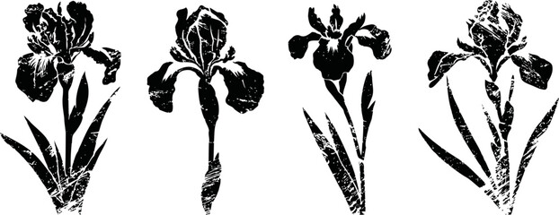 Naklejka premium Four black and white iris flower silhouettes with leaves on white background