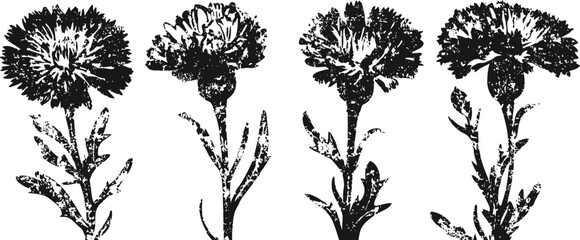 Naklejka premium Black and white vintage carnation flowers clipart set with stems and leaves in silhouette