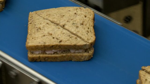 bread on conveyor belt in sandwich factory