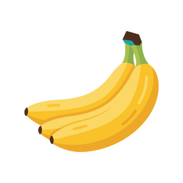 Banana Bunch Vector Illustration Isolated on White Background for Food Design
