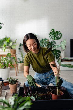 Young East Asian woman repotting houseplants on the floor at home. Indoor gardening scene with tools, soil, and greenery, showing plant care, hobby, and relaxed lifestyle