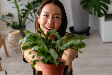 Obraz na płótnie Canvas Happy young woman holding a potted green houseplant toward the camera, smiling warmly in a bright home—joyful indoor gardening and plant care moment