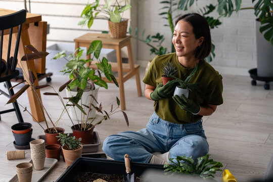 Smiling young Asian woman sitting on the floor repotting houseplants, holding succulents and wearing gloves in a bright, cozy home&mdash;calm, mindful indoor gardening moment